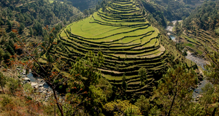 Almora image