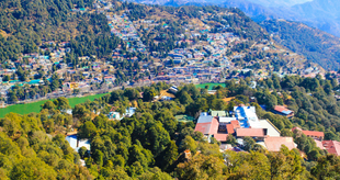 nanital image